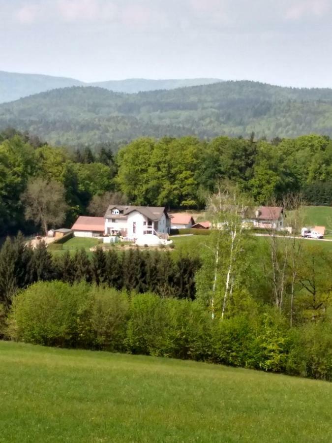 Ferienwohnung Betula Furstenstein Экстерьер фото
